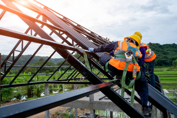 Best Roof Waterproofing Services  in Newhall, IA