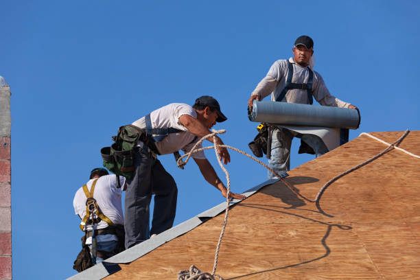 Best Commercial Roofing Services  in Newhall, IA